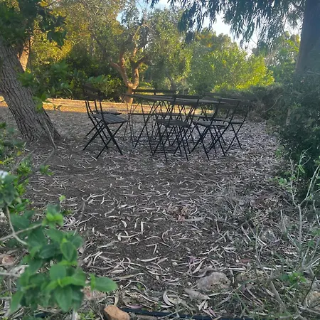 Olivi 3* מנדוריה