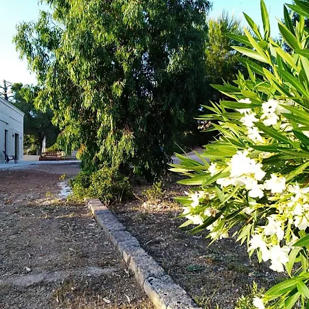 Valle Degli Ulivi Bed & Breakfast 3*